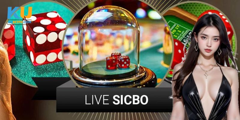 Các loại cược trong Sicbo